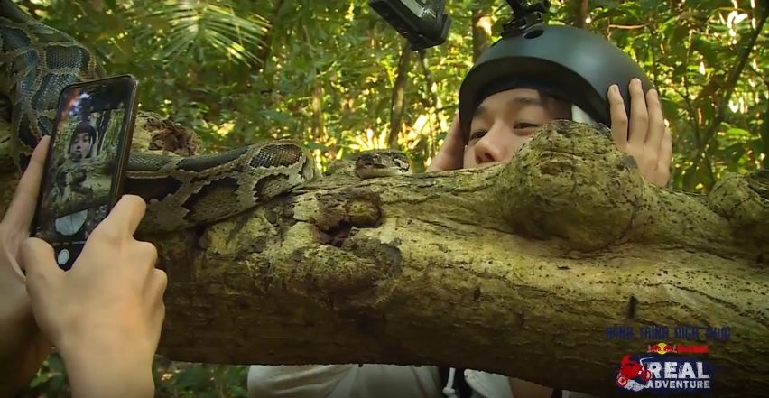 Red Bull - Hanh trinh dich thuc anh 1