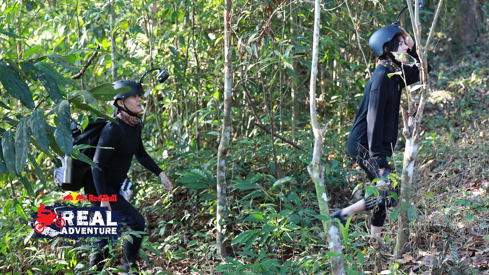 Red Bull - Hành trình đích thực ảnh 3 Red Bull - Hanh trinh dich thuc anh 3