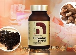 fucoidan anh 4