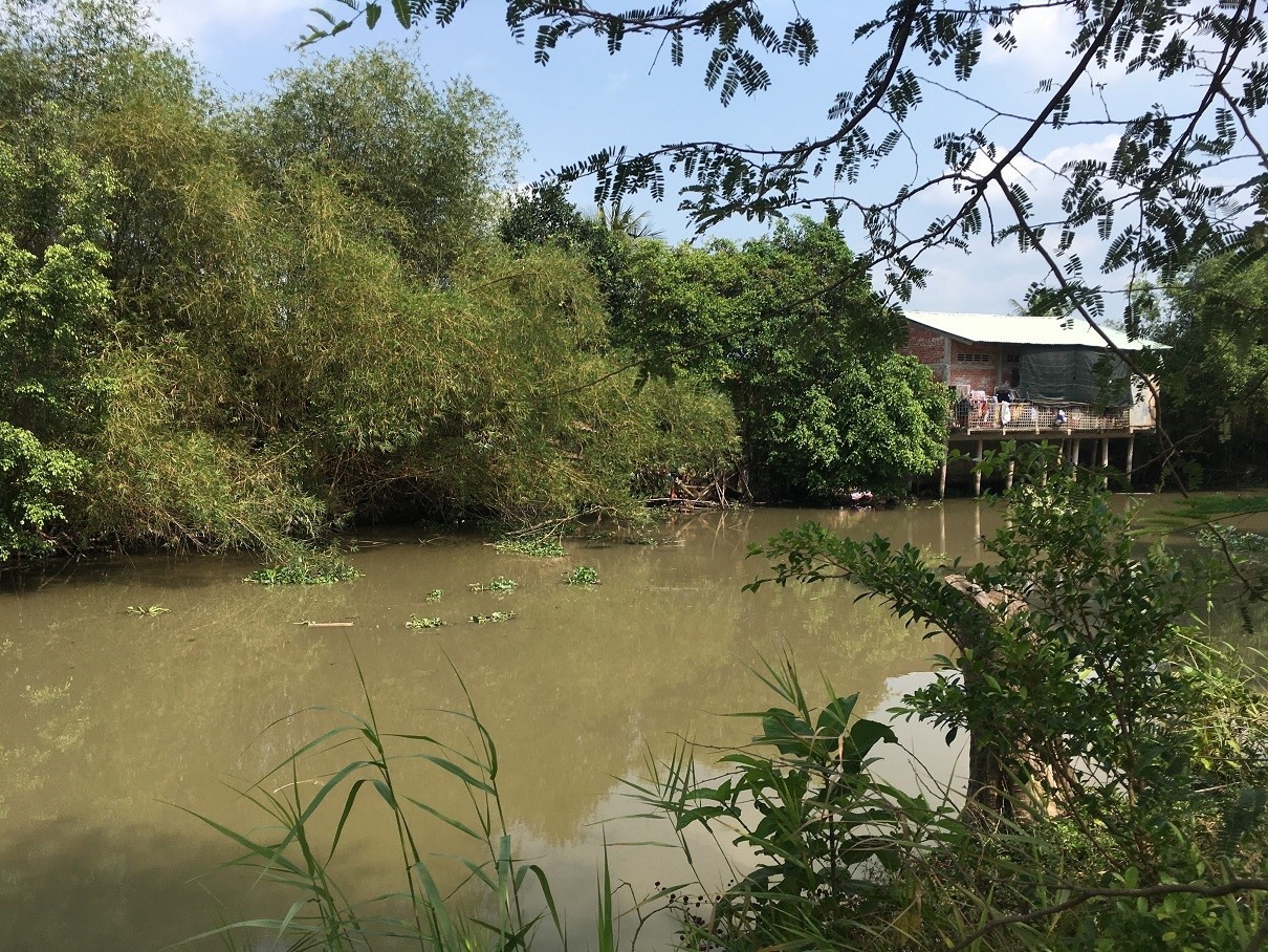 Tân Hiệp Phát ảnh 1 Tan Hiep Phat anh 1