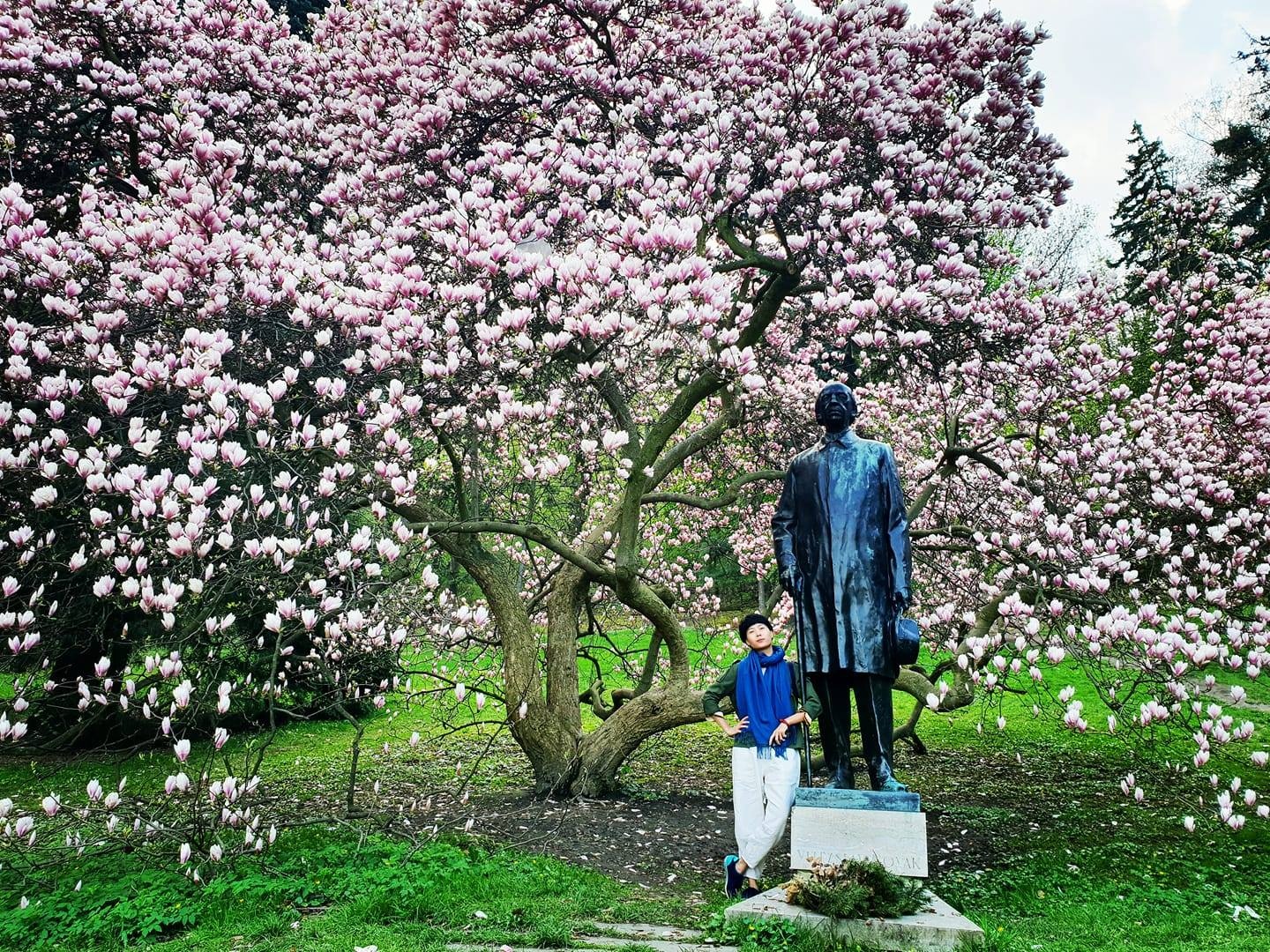 Troi Au lang man qua lang kinh cua Maika Elan hinh anh