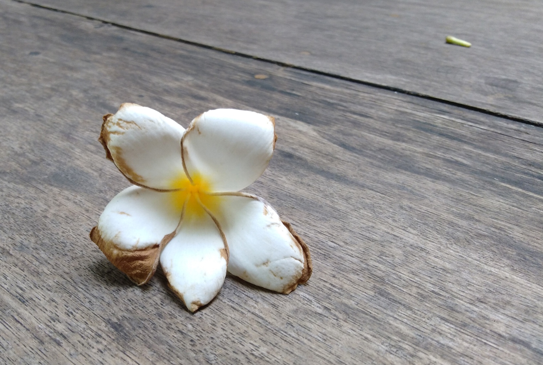 Huawei Y7 Pro 2018 anh 3