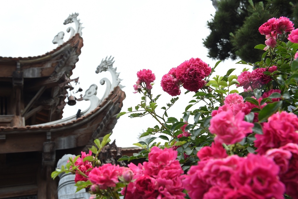 Sun World Fansipan Legend anh 7