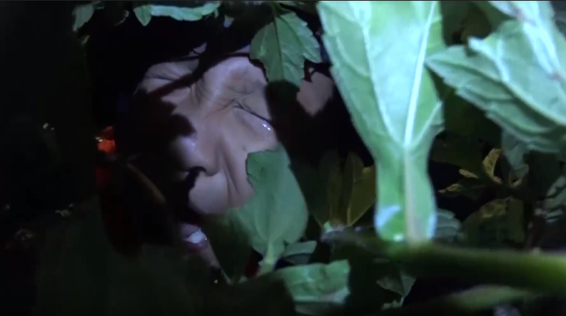 Bo oi minh di dau the? anh 1