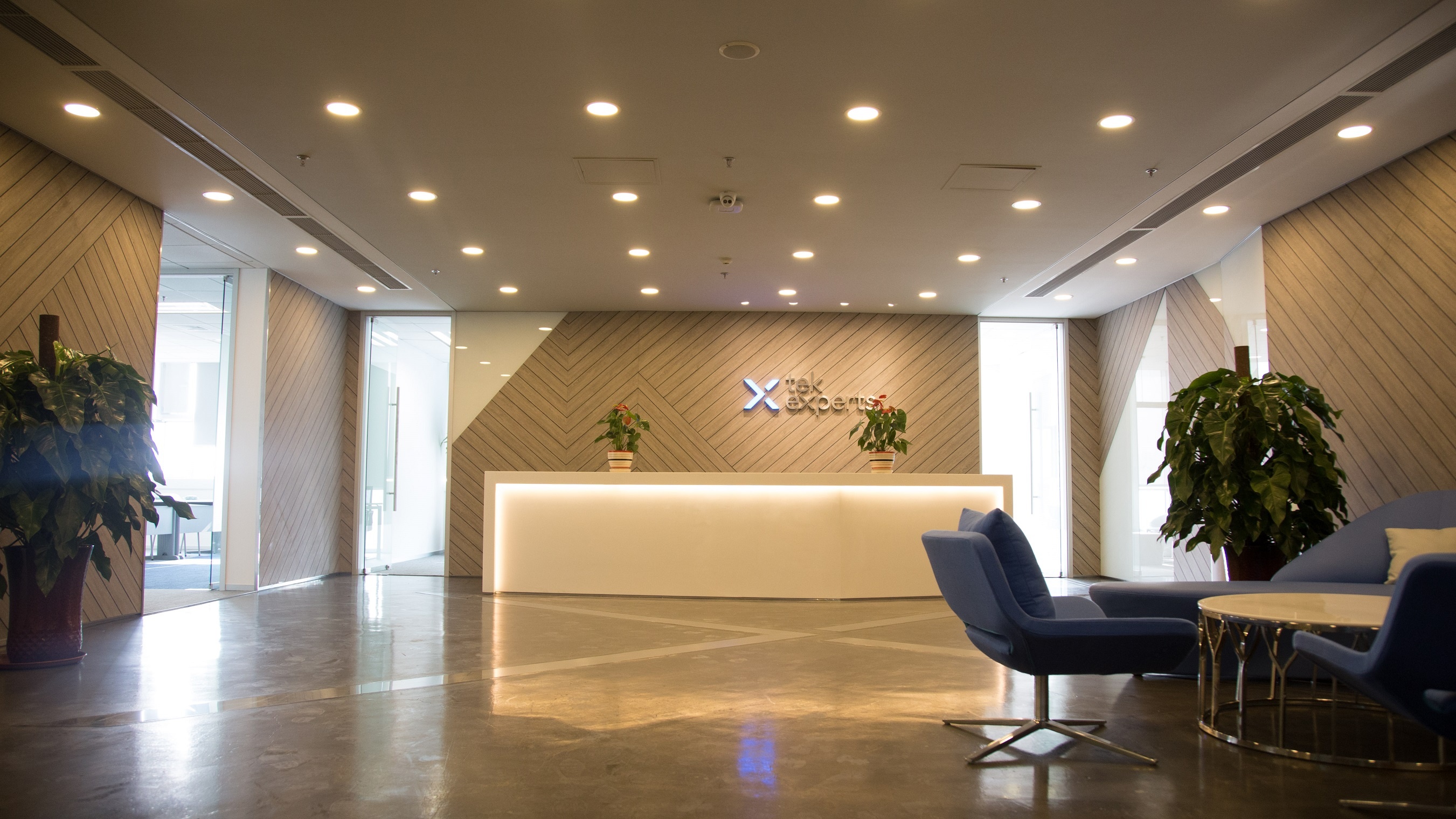 Tek Experts Viet Nam anh 1