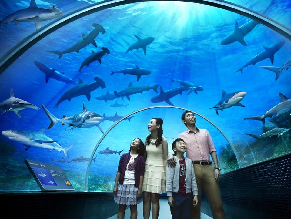 Vietravel Hà Nội ảnh 3 Vietravel Ha Noi anh 3
