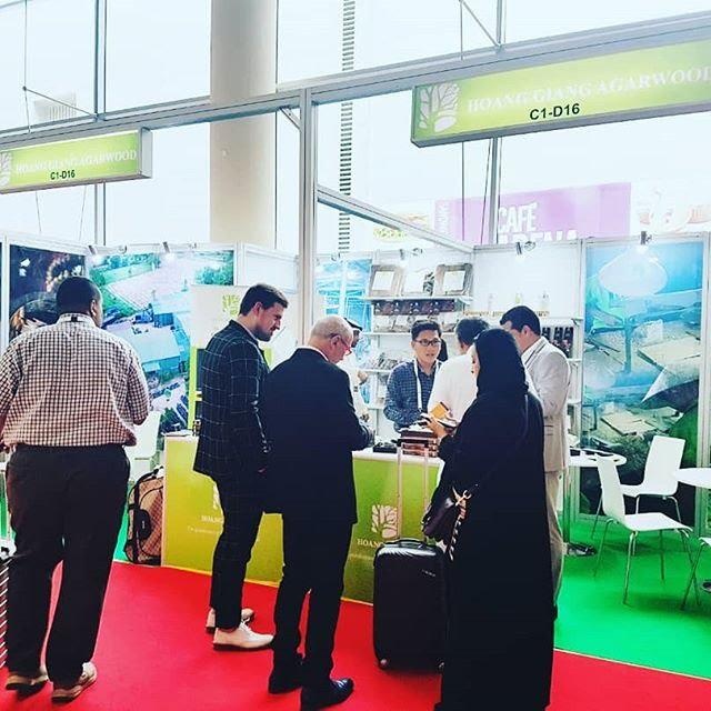 tram huong Hoang Giang anh 2