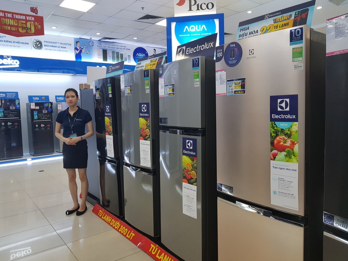 Dien may Pico va Electrolux chi hon nua ty dong khuyen mai dau he hinh anh