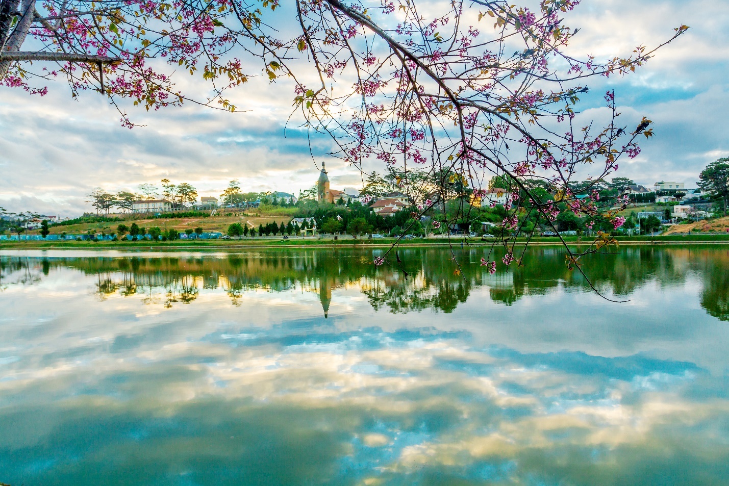 7 bi kip tan huong ky nghi he vua re vua khoe hinh anh
