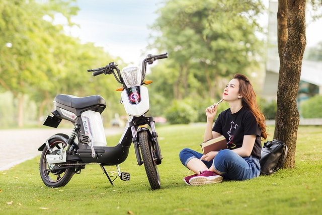 Dong thai giam gia va ky vong cua hang xe dien Pega hinh anh