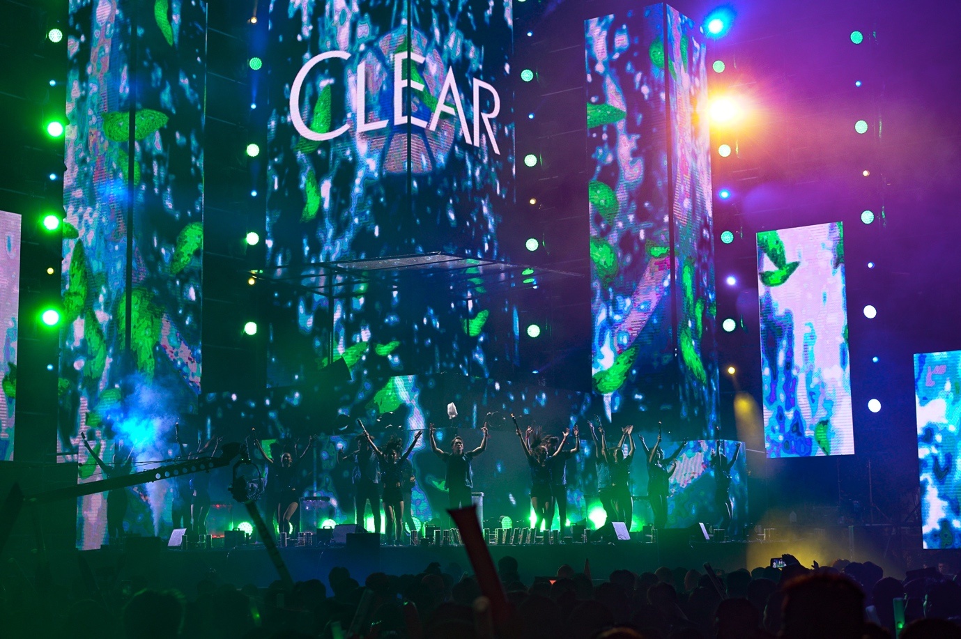 Ravolution Music Festival anh 2