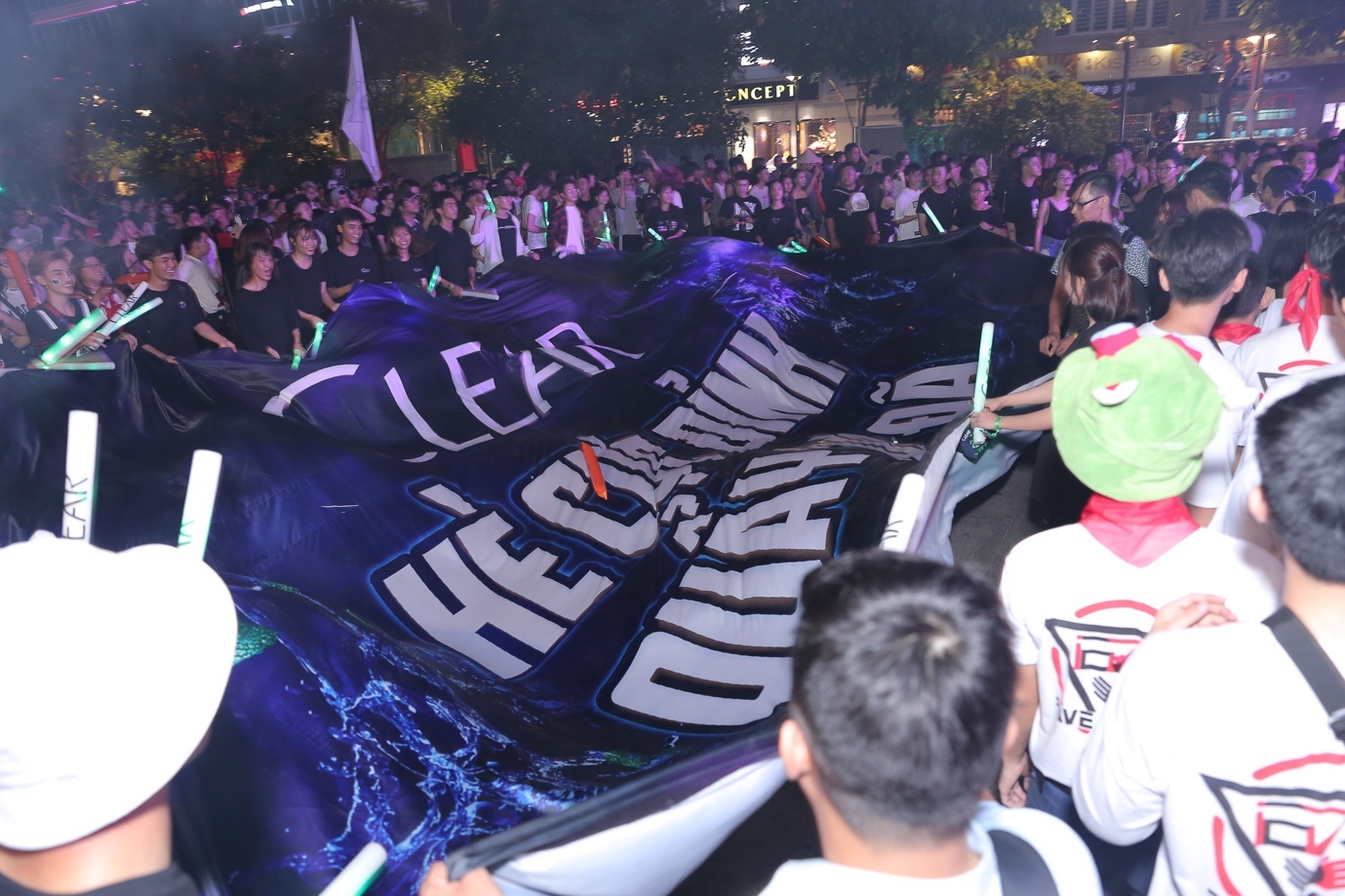 Ravolution Music Festival anh 8