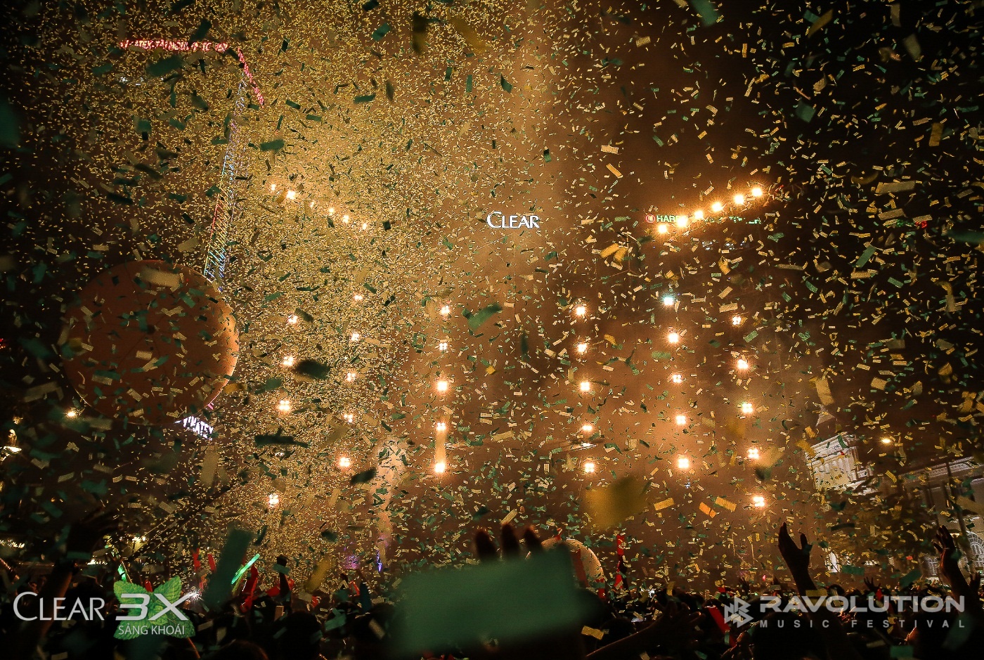 Ravolution Music Festival anh 9