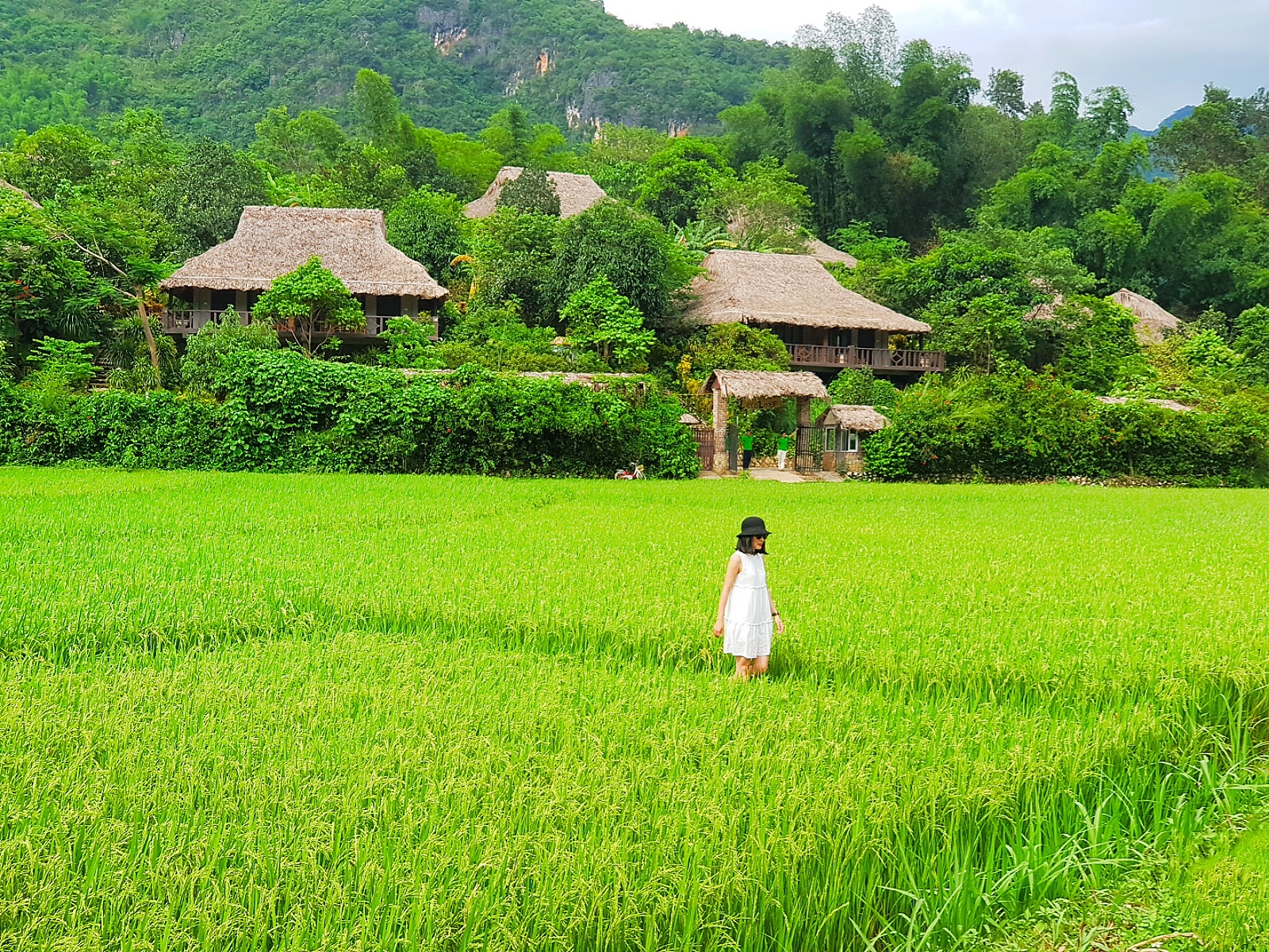 Mai Chau Ecolodge ảnh 1 Mai Chau Ecolodge anh 1