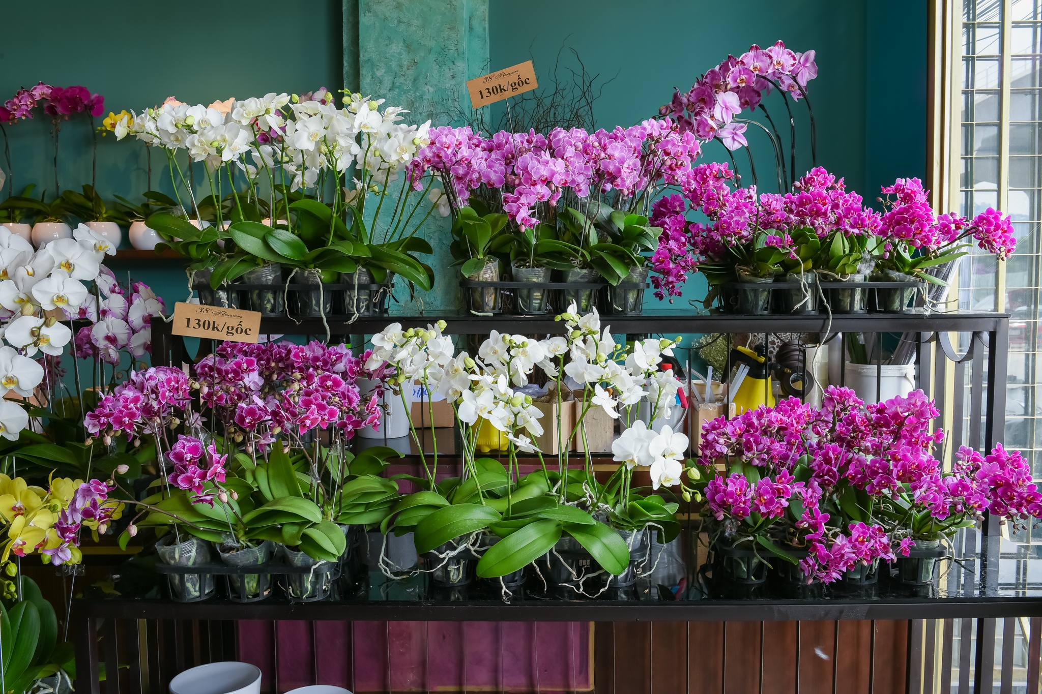 38 do Flower Market anh 7