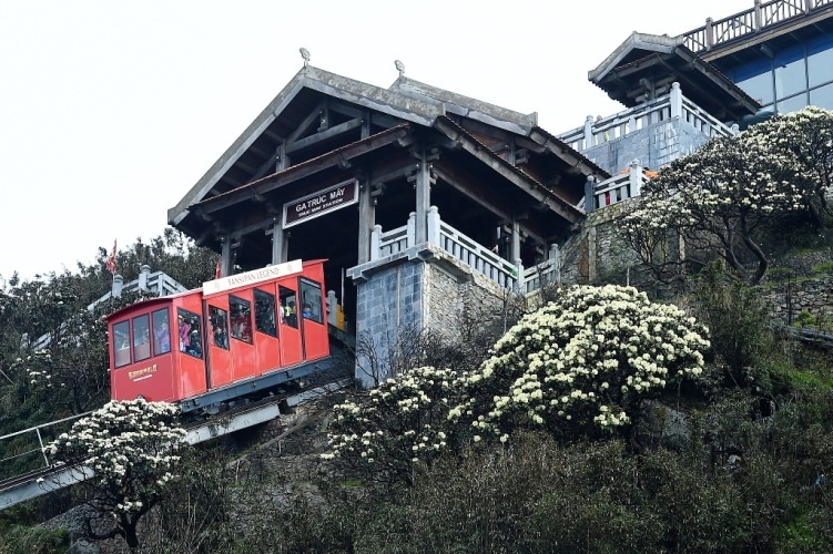 tron nong tai Sa Pa anh 5