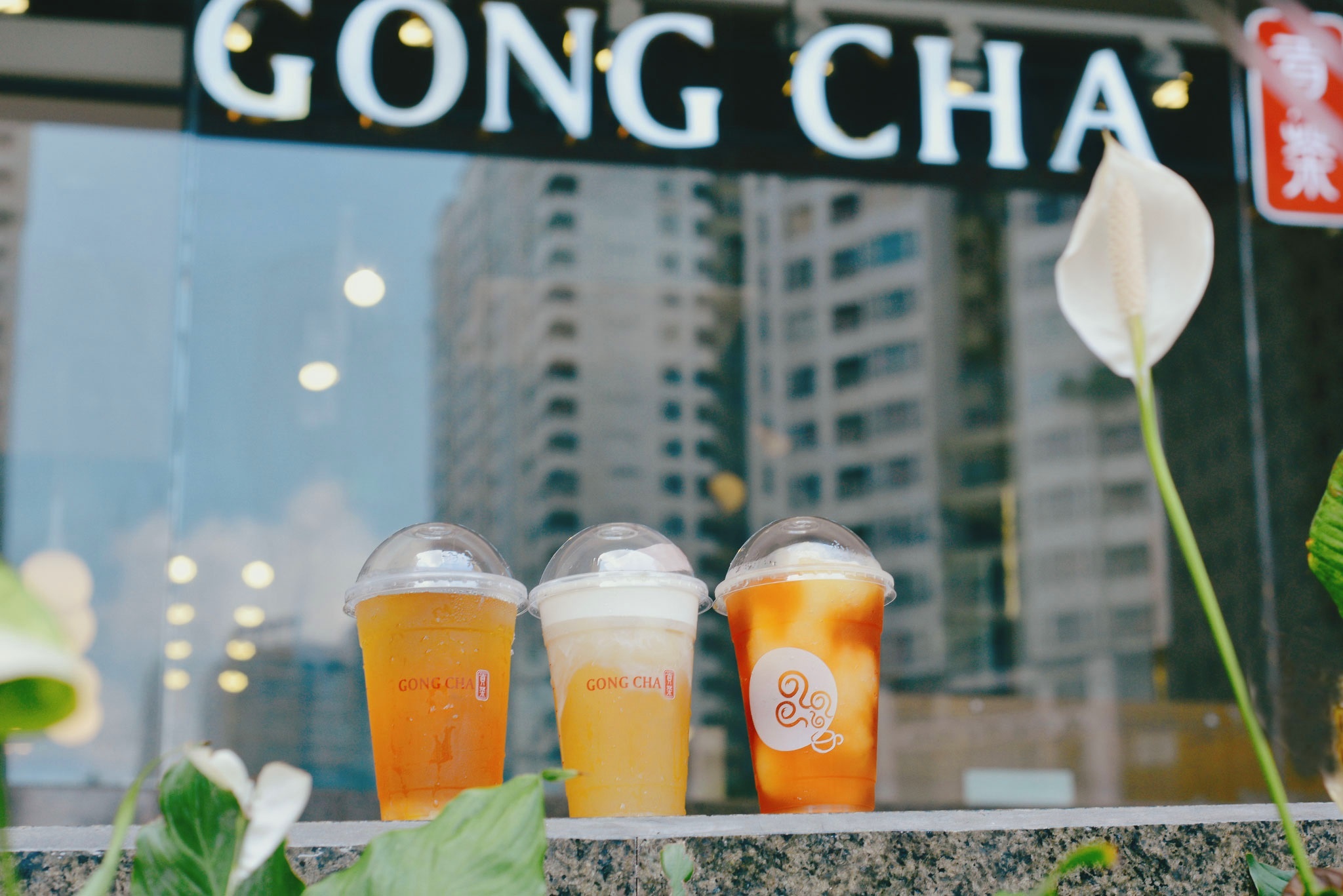 Gong Cha anh 7