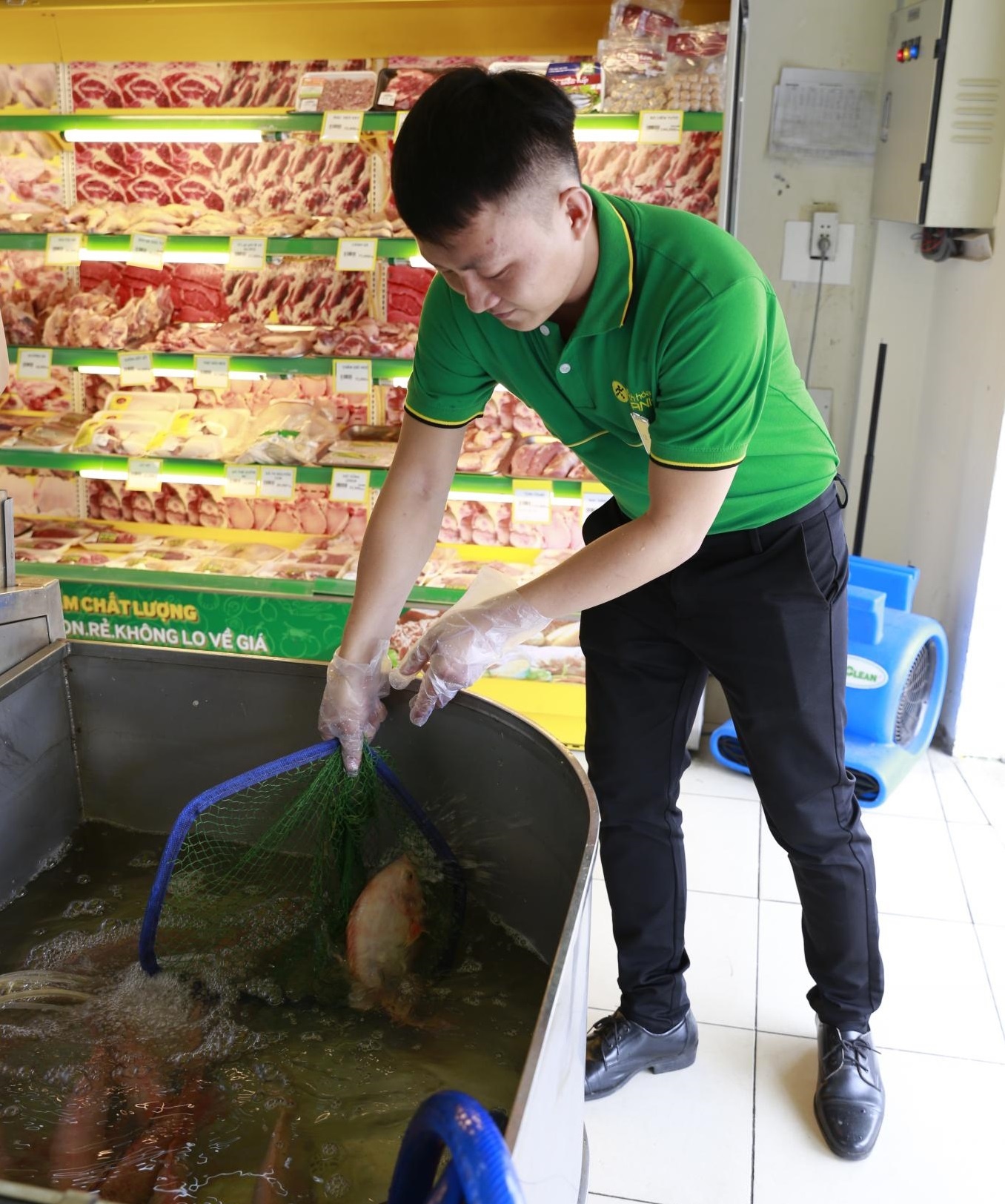 Bách hóa Xanh ảnh 3 Bach hoa Xanh anh 3