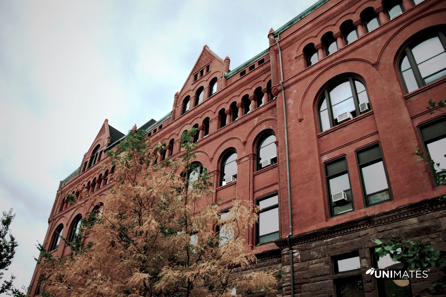 Unimates Education ảnh 3 Unimates Education anh 3