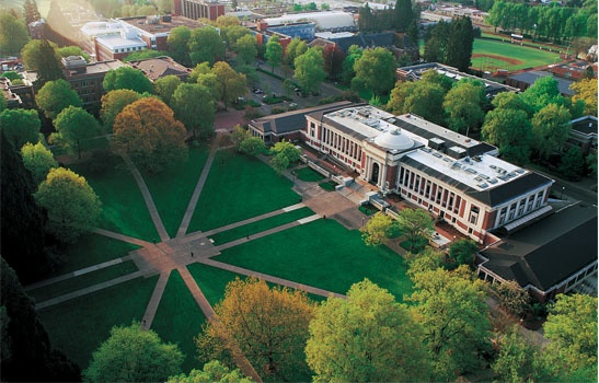 4 dai hoc My co nhieu chinh sach hoc bong cho sinh vien quoc te hinh anh