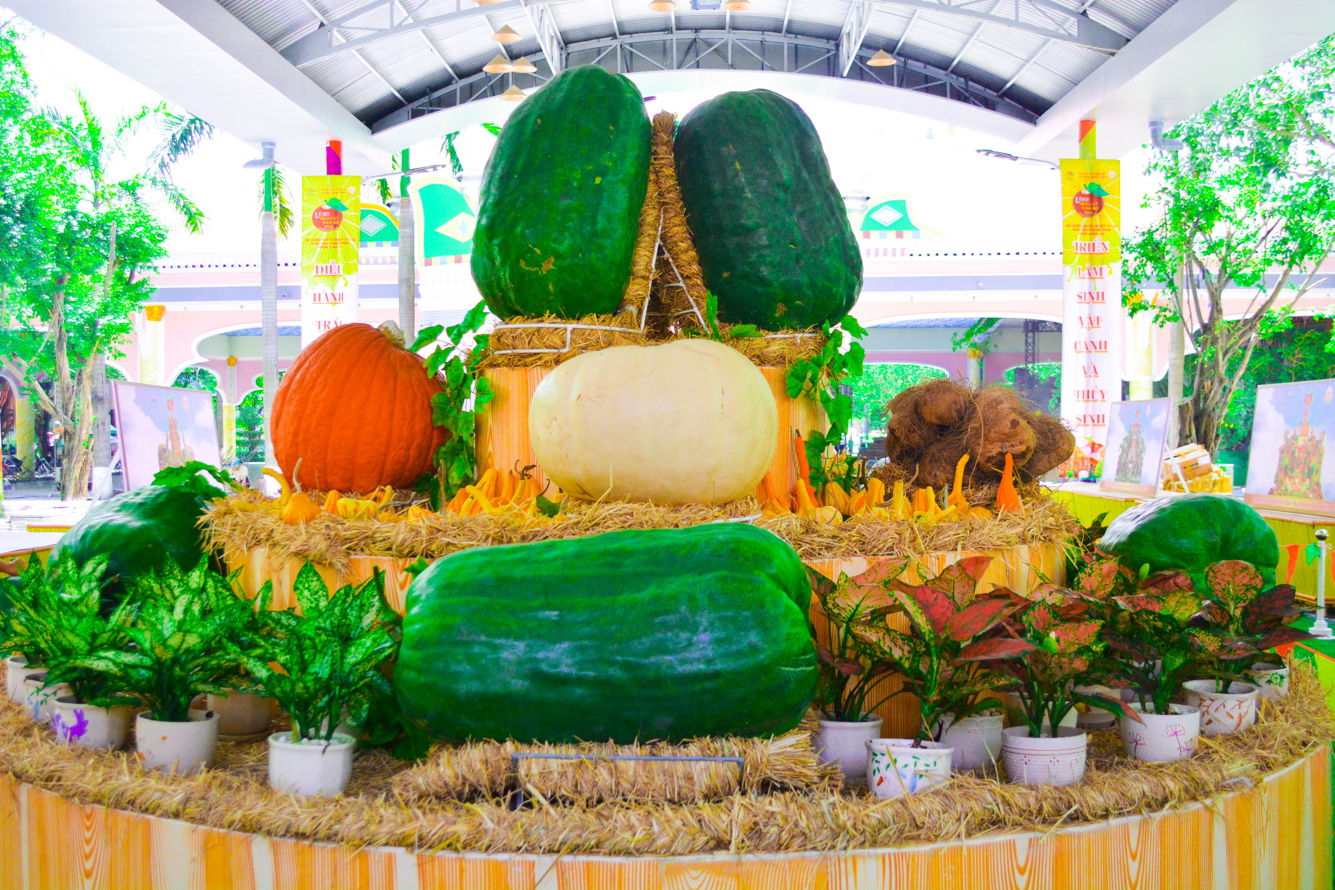 Suối Tiên ảnh 4 Suoi Tien anh 4