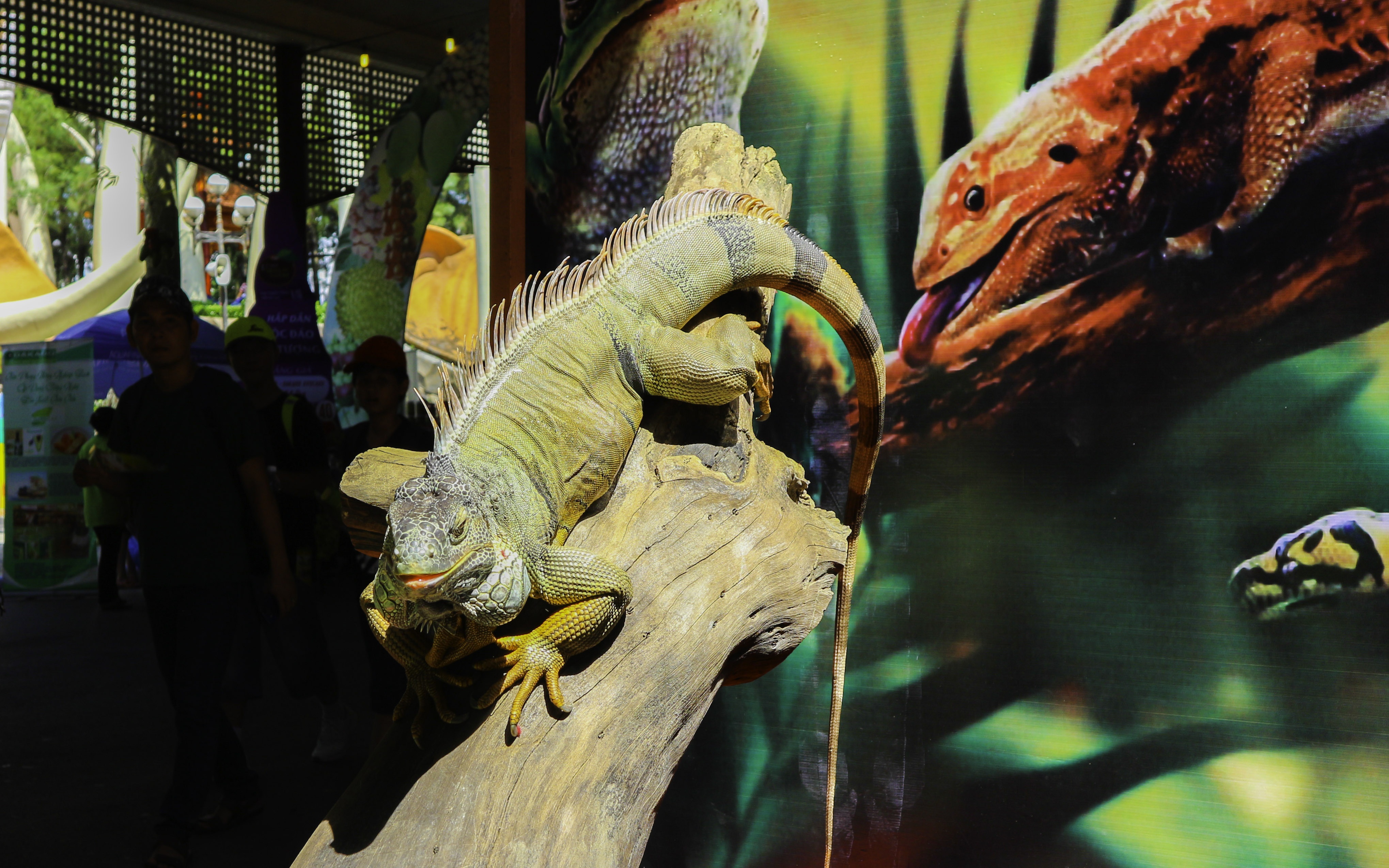 Suối Tiên ảnh 5 Suoi Tien anh 5