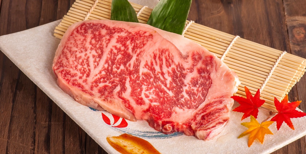Meiwei  ảnh 3 Meiwei anh 3