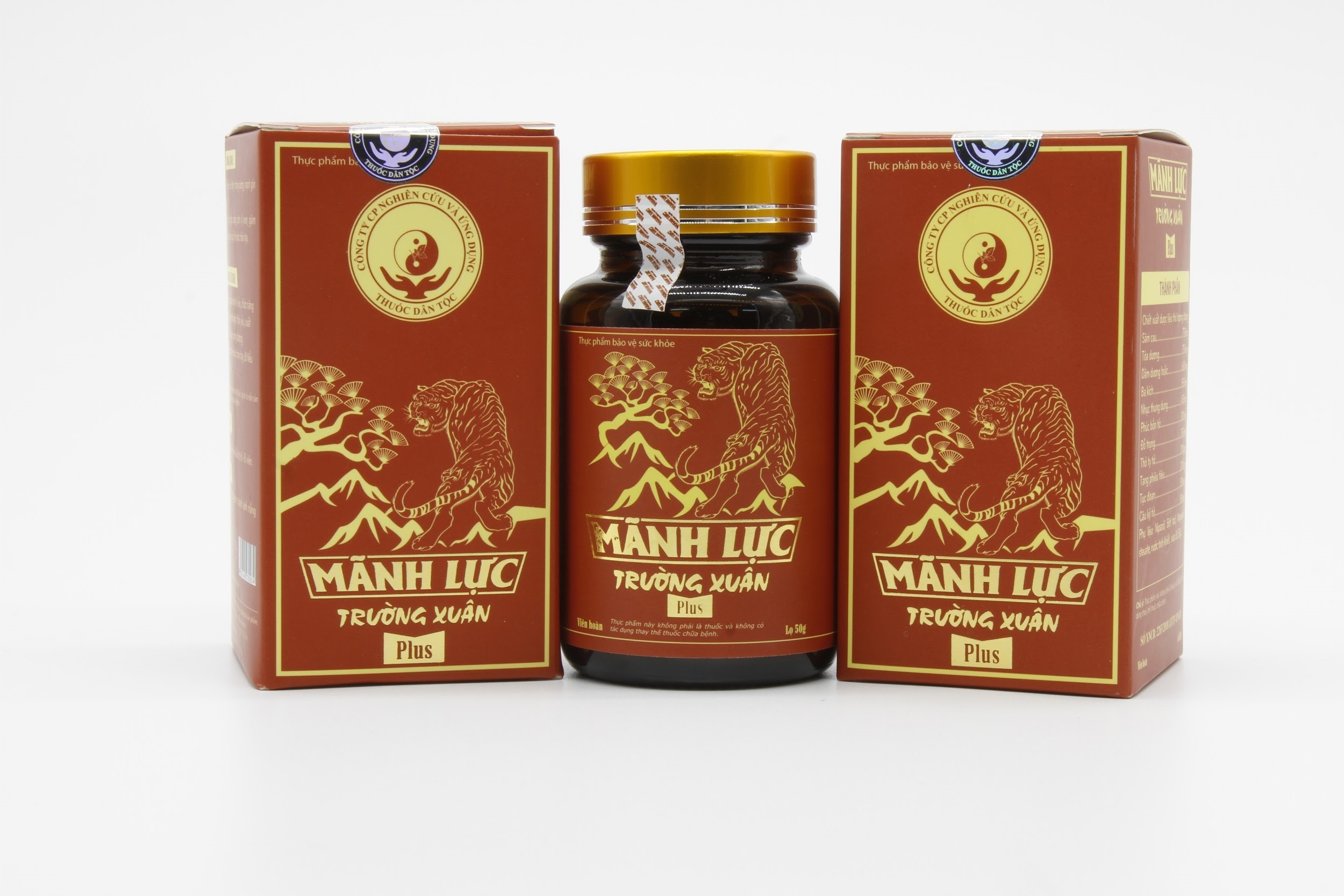 Manh Luc Truong Xuan anh 2