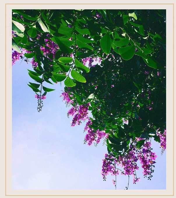 Honor 10 ảnh 9 Honor 10 anh 9