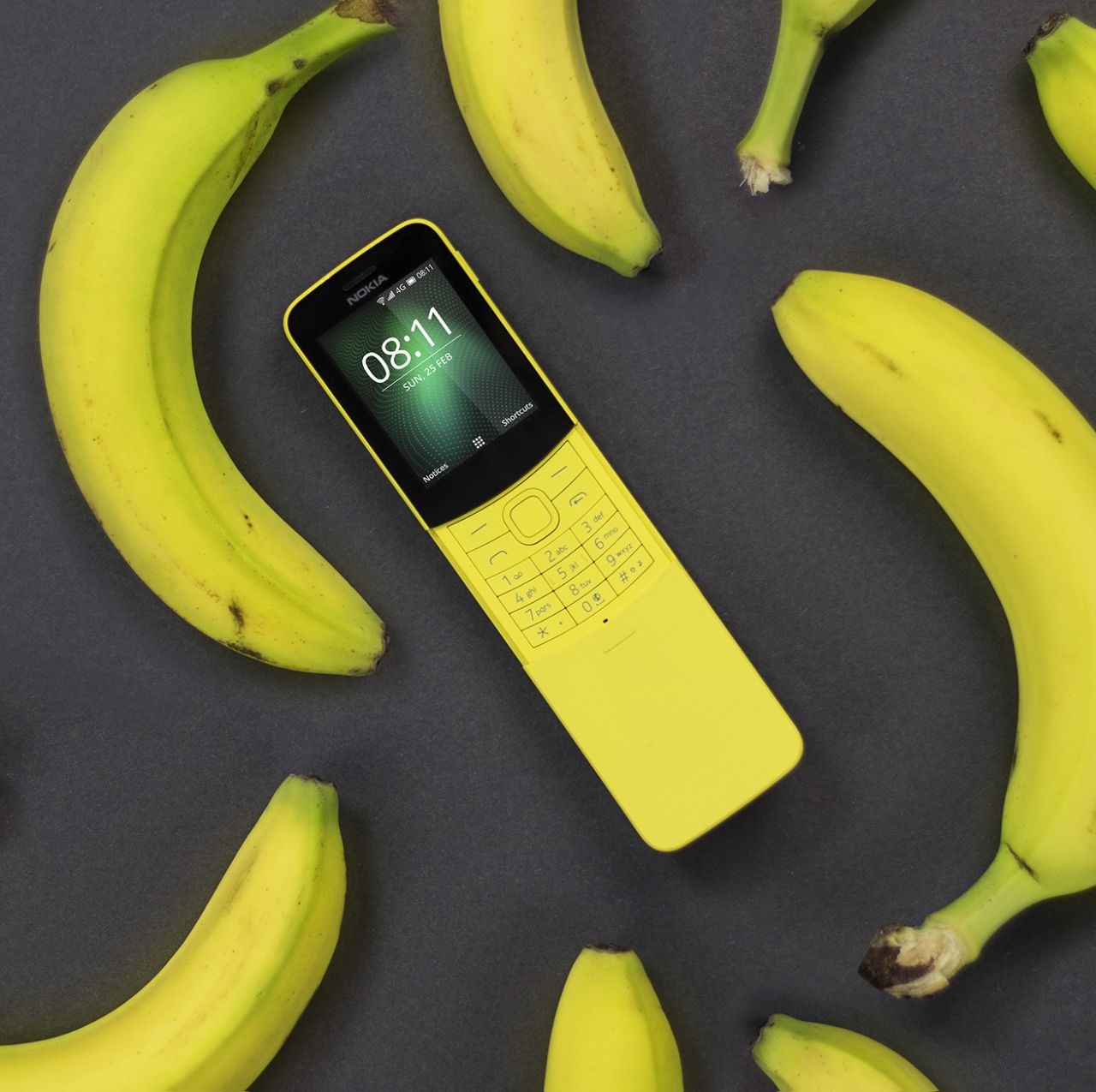 Nokia 8110 'hoi xuan' voi dien mao moi hinh anh