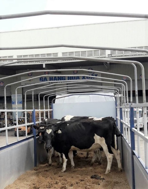 Vinamilk ảnh 2 Vinamilk anh 2