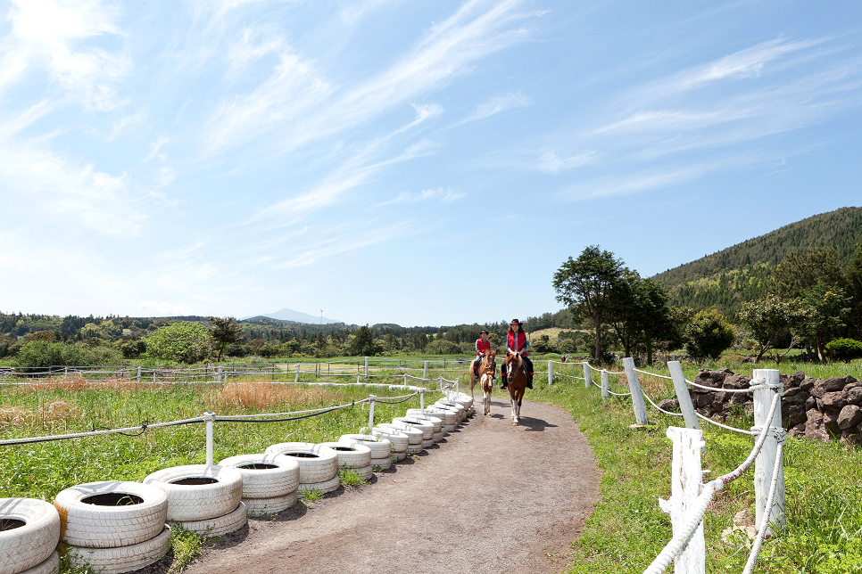 Hanh trang cho du khach khi den Han Quoc hinh anh