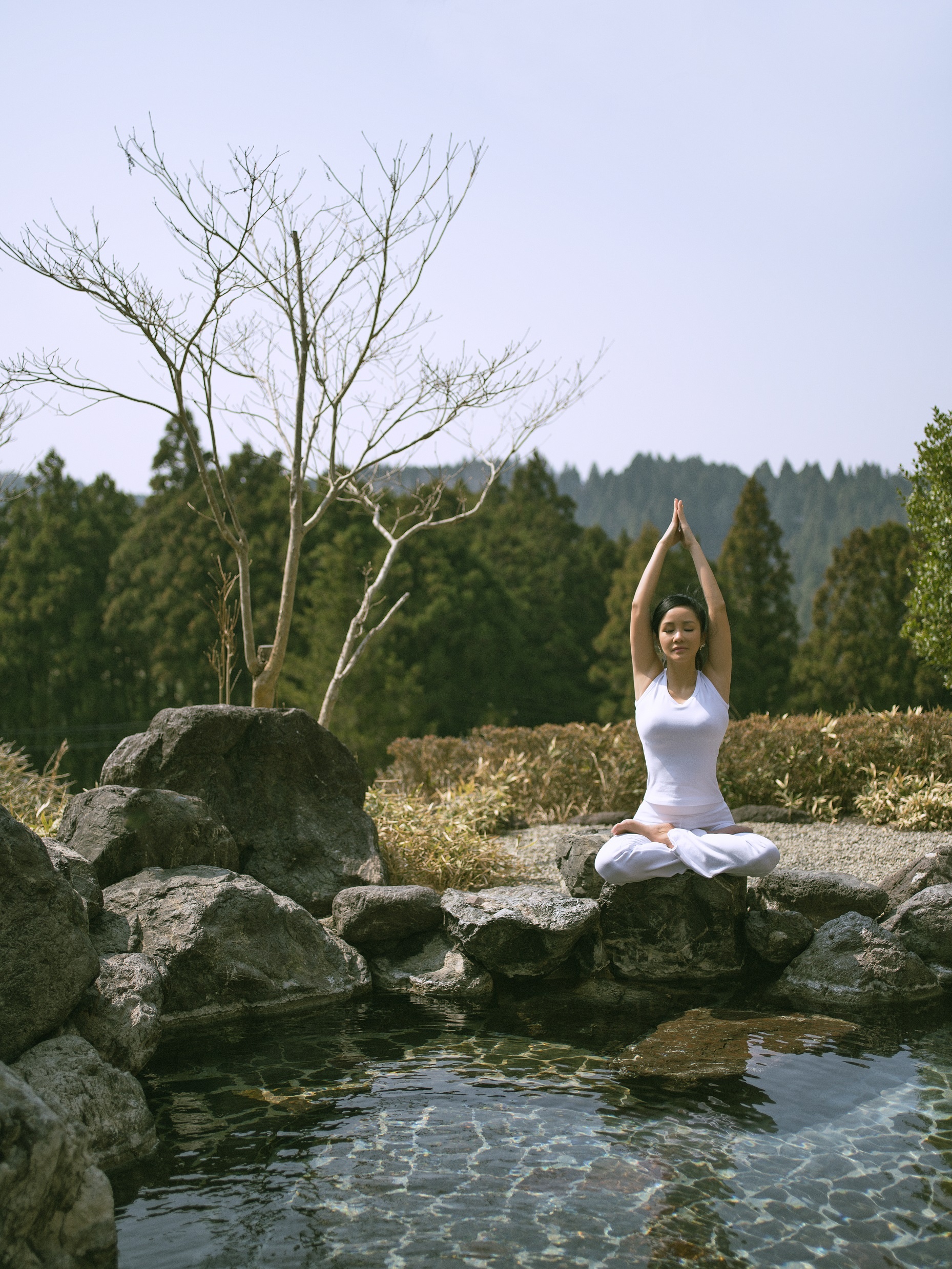 Menard ảnh 4 Menard anh 4