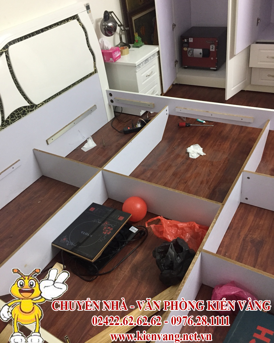 chuyen nha Kien Vang anh 2