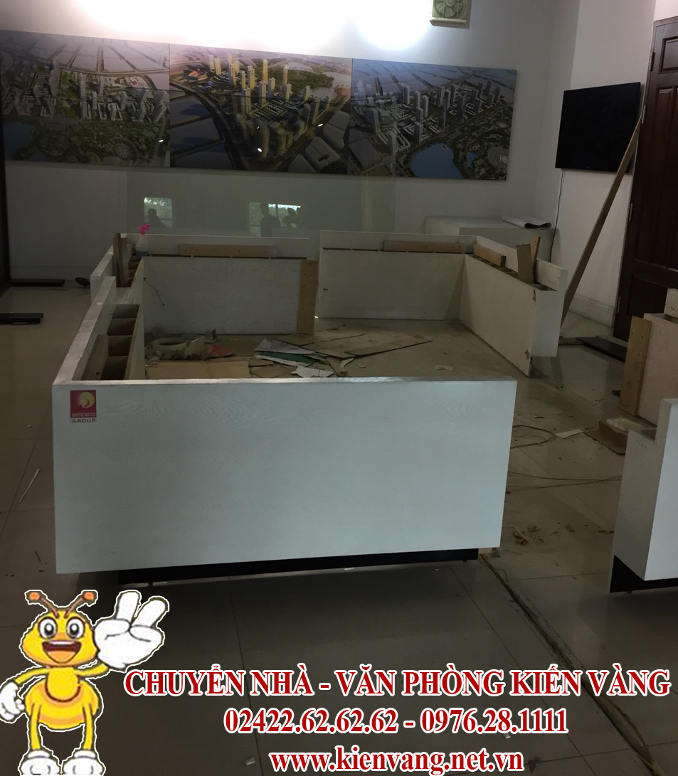 chuyen nha Kien Vang anh 3