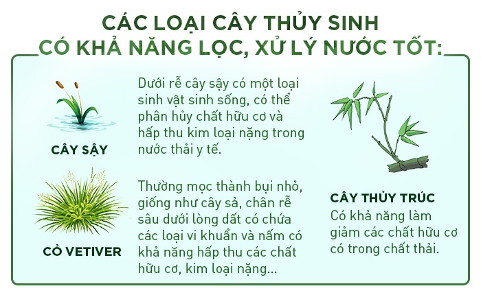 Ecopark ảnh 8 Ecopark anh 8