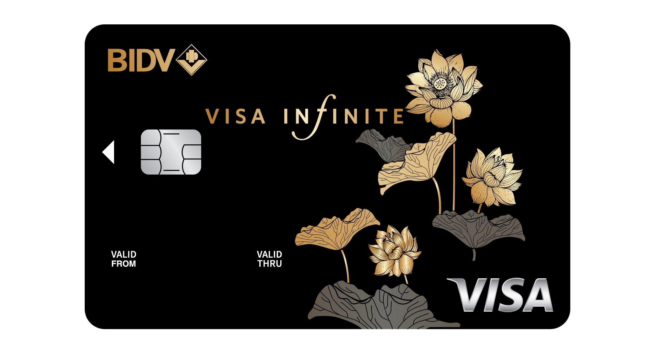BIDV ra mat dong the Visa Infinite huong den khach hang thuong luu hinh anh