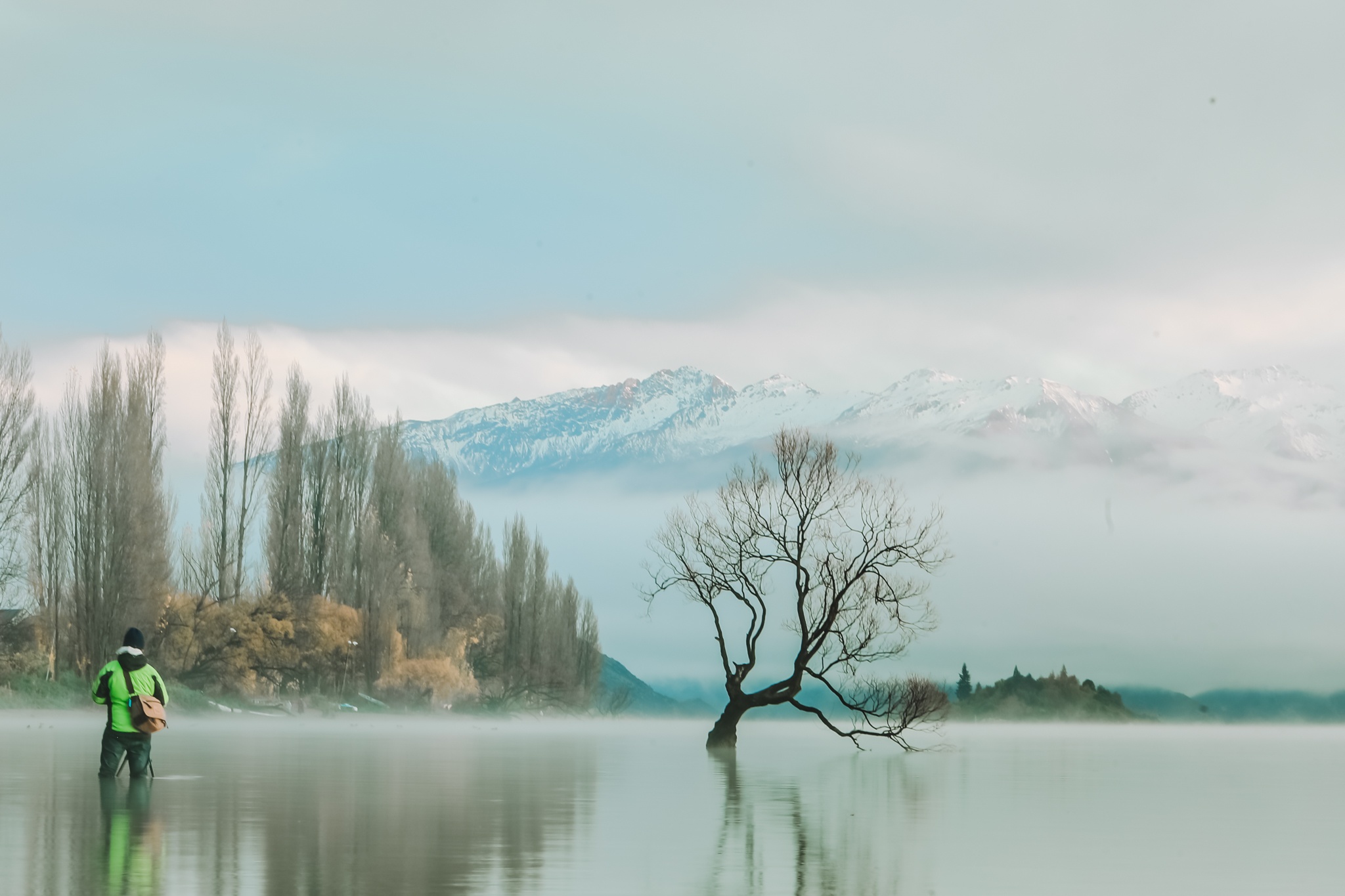 Air New Zealand anh 10