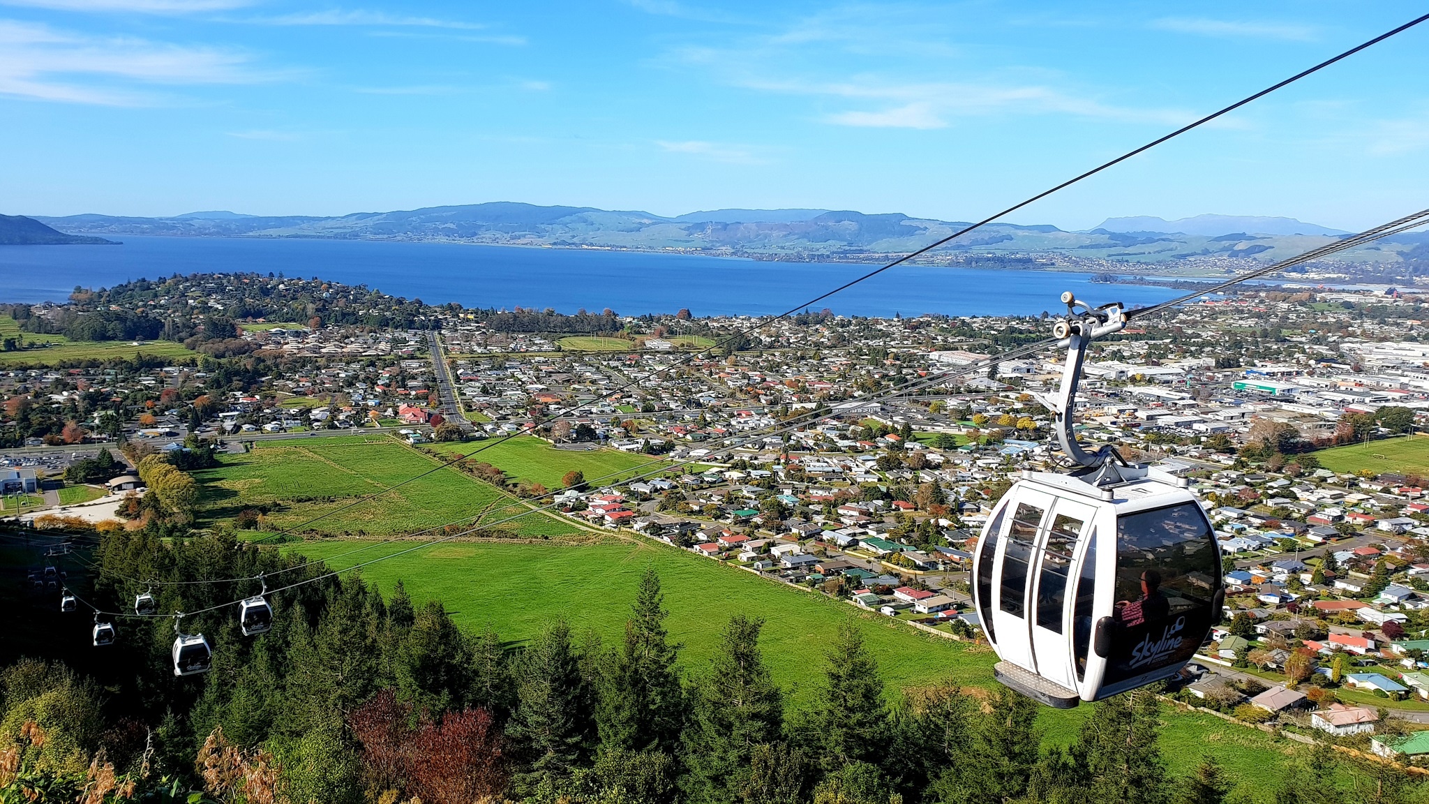 Air New Zealand anh 2