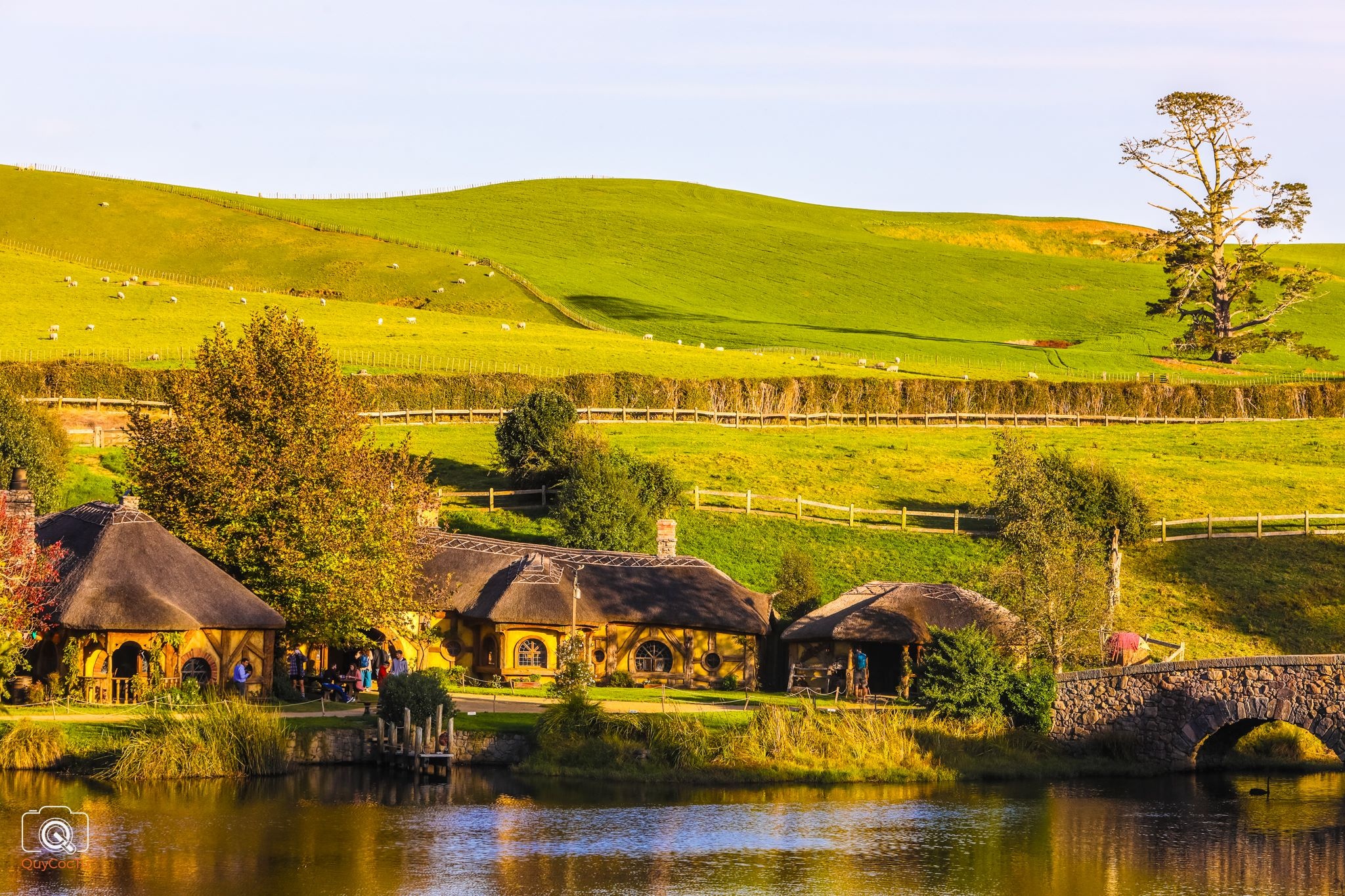 Air New Zealand anh 5