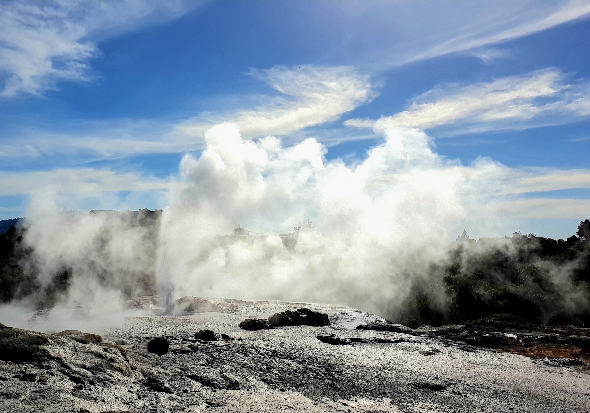 Air New Zealand anh 4