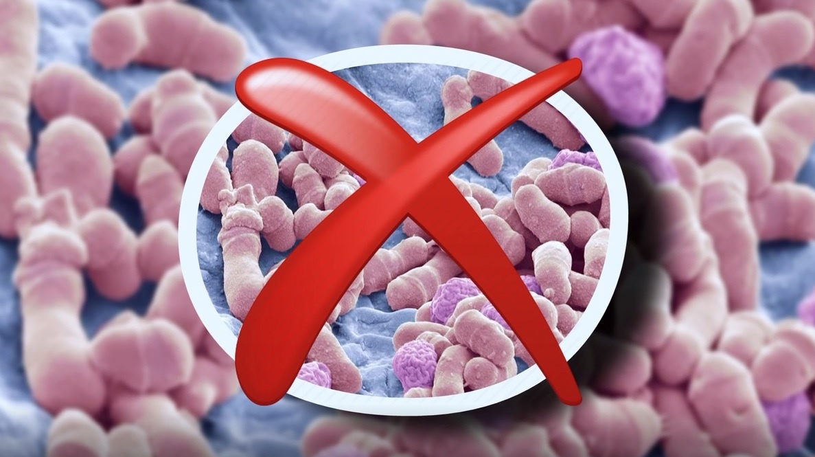 Video - Dieu tri gau va ngua da dau mua nang nong hinh anh