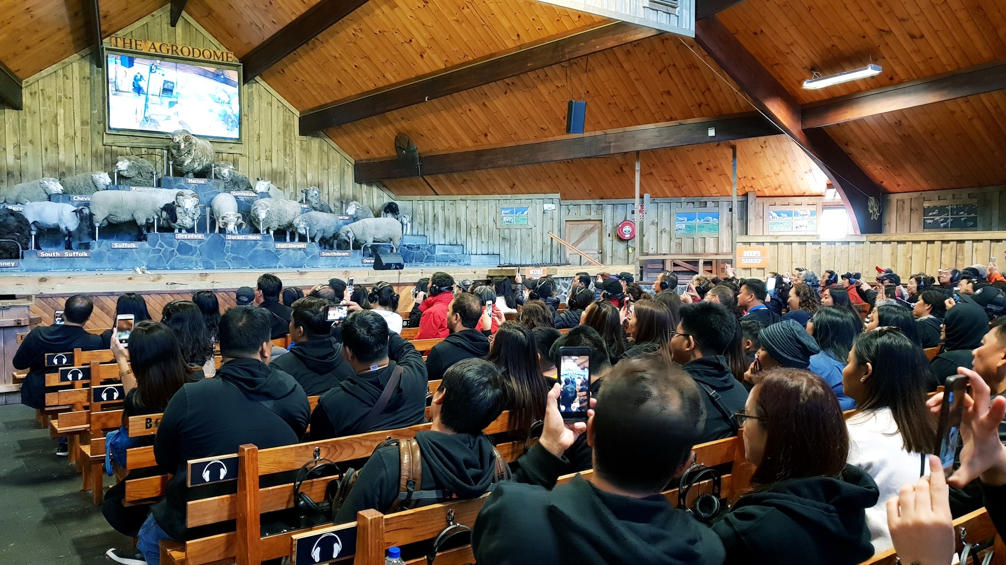 Air New Zealand anh 3