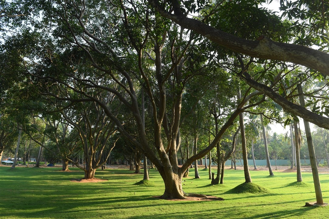 cap treo Hon Thom anh 8