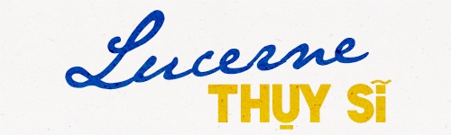 Vietravel ảnh 5 Vietravel anh 5