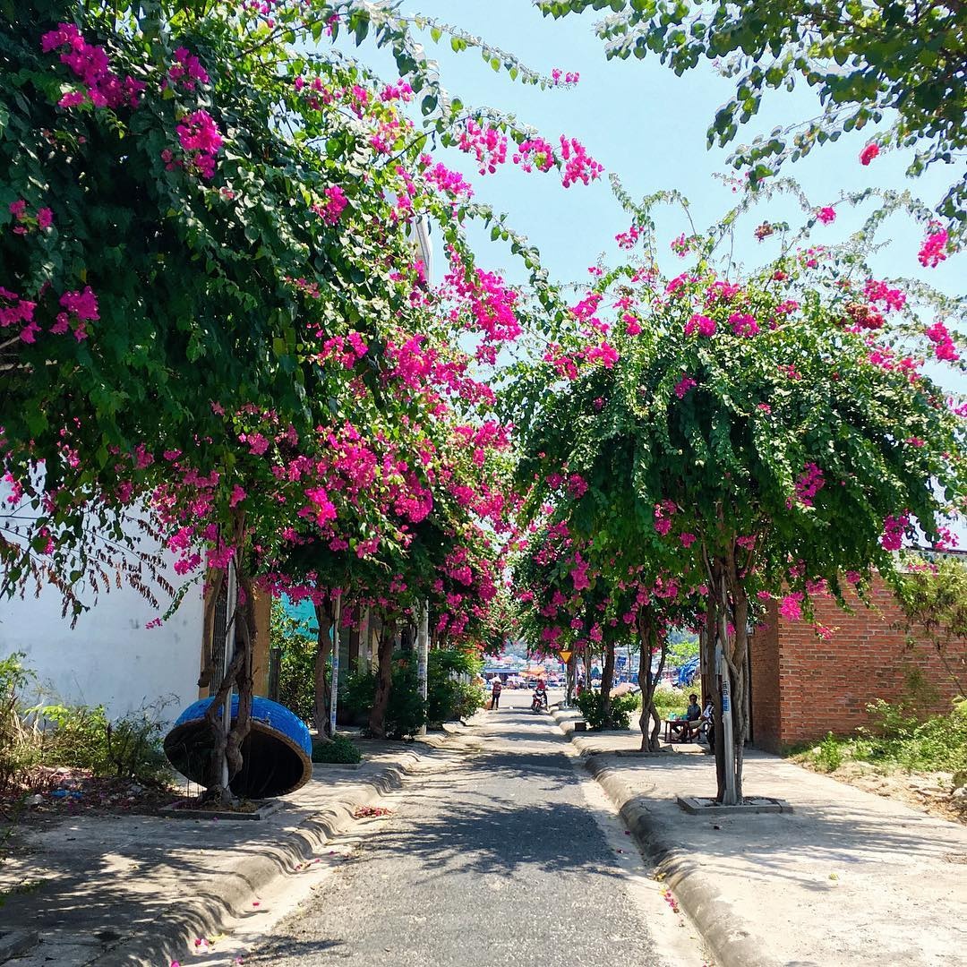 Vinpearlland Times City anh 3