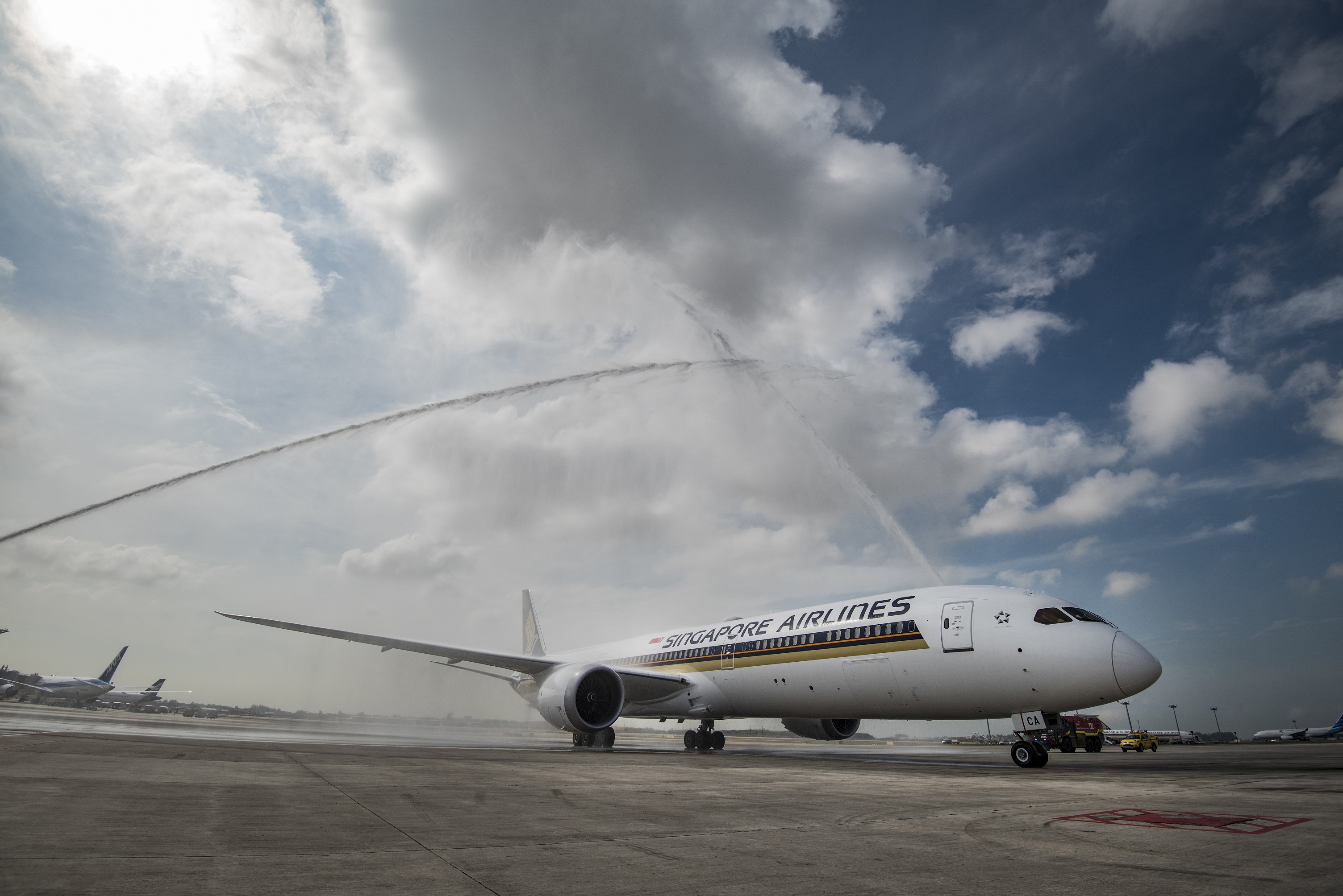 Singapore Airlines anh 6