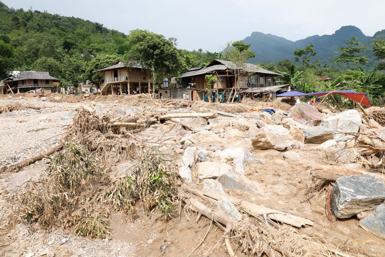 Alphanam Green Foundation anh 3