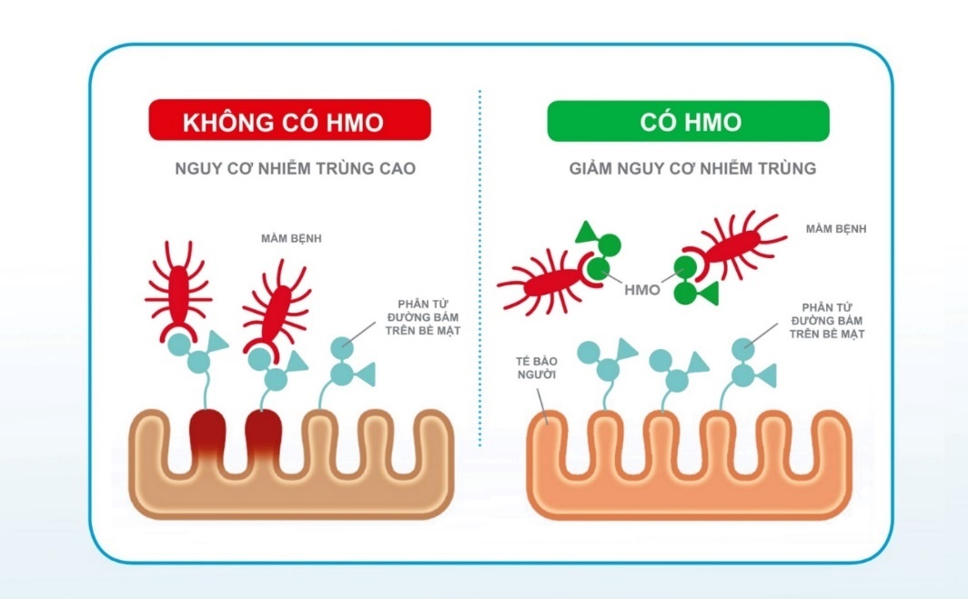 similac ảnh 2 similac anh 2
