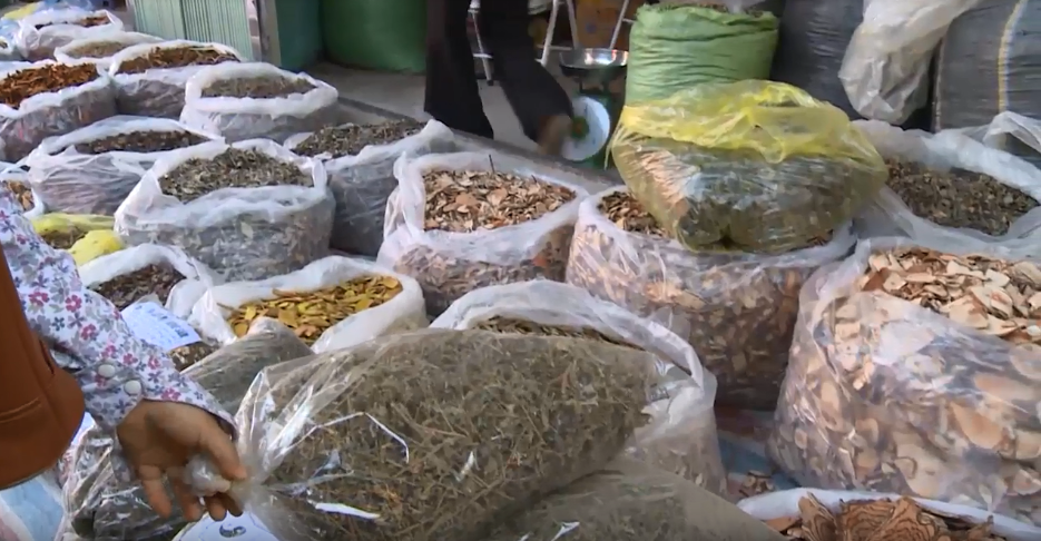 Cach nhan biet duoc lieu ca gai leo dat chuan hinh anh